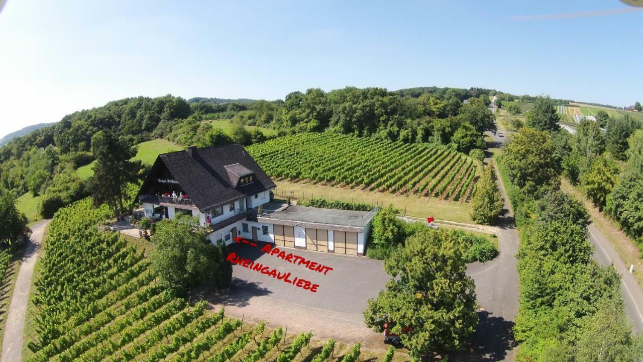 DAS Apartment am Weinberg Geisenheim Exterior foto